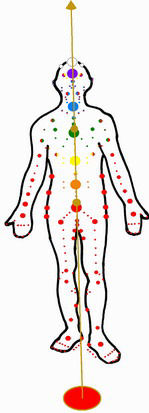 Einige (Oberfl&auml;chen-) Chakras und die Hara-Linie